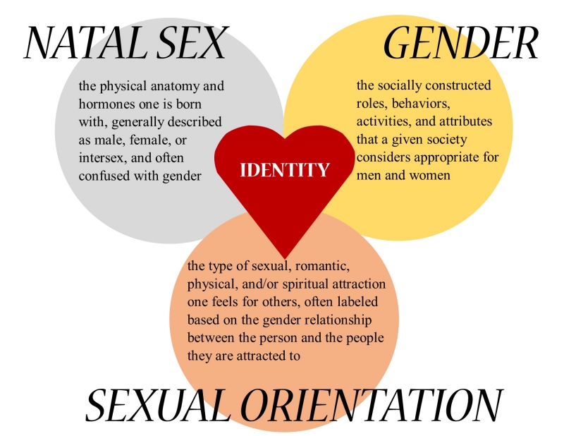 Difference Between Sex and Gender