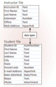 Field Data Types