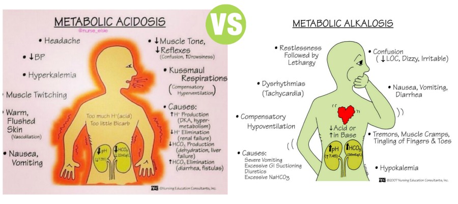Difference Between Metabolic Acidosis and Metabolic Alkalosis