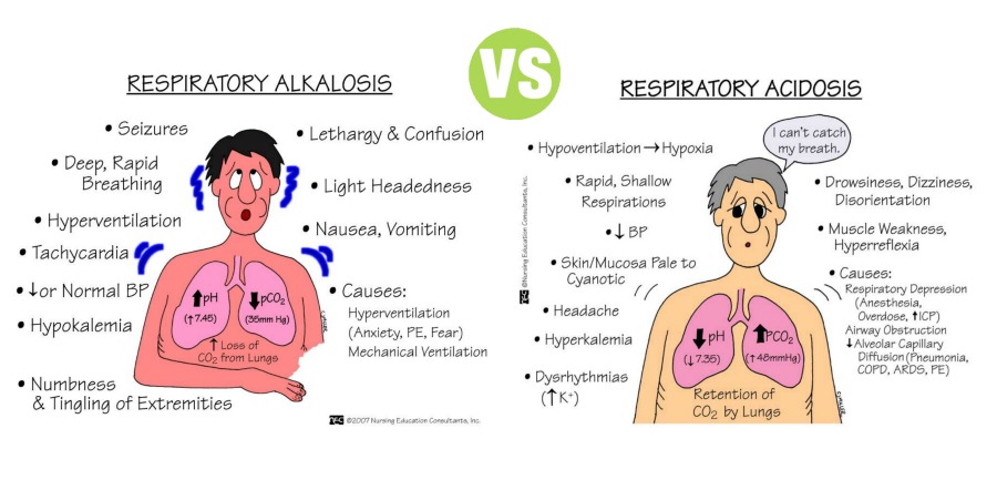 Difference Between Respiratory Acidosis and Respiratory Alkalosis