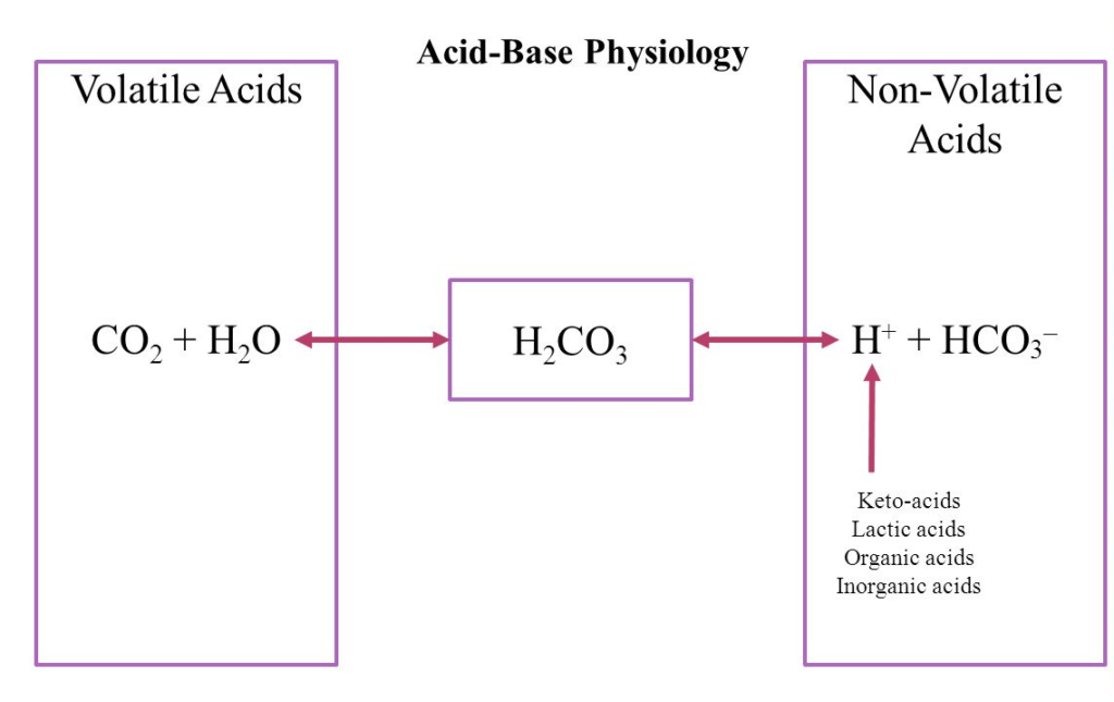 Difference Between Volatile and Non-Volatile Acids