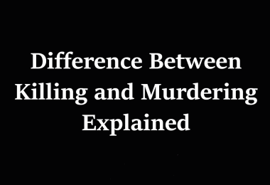 Difference Between Policy and Law Explained