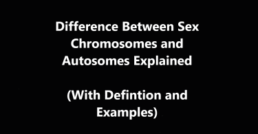Difference Between Sex Chromosomes and Autosomes
