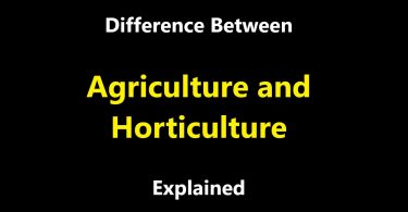Difference Between Agriculture and Horticulture