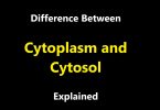 Difference Between Cytoplasm and Cytosol