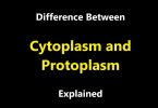 Difference Between Cytoplasm and Protoplasm