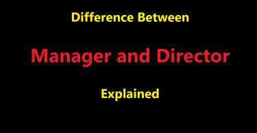 Difference Between Manager and Director
