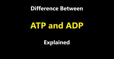Difference Between ATP and ADP