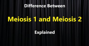 Difference between Meiosis 1 and Meiosis 2