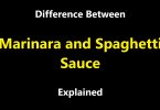 Difference Between Marinara and Spaghetti Sauce