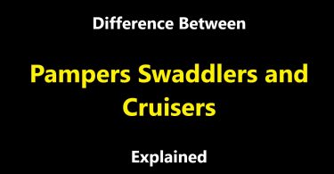 Difference Between Pampers Swaddlers and Cruisers