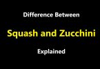 Difference Between Squash and Zucchini