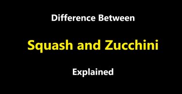 Difference Between Squash and Zucchini