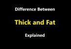 Difference Between Thick and Fat